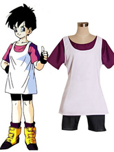 Dragon Ball Z Videl Cosplay Costume