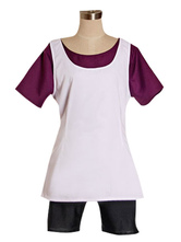 Dragon Ball Z Videl Cosplay Costume