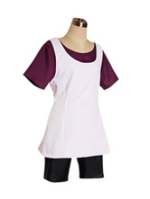 Dragon Ball Z Videl Cosplay Costume