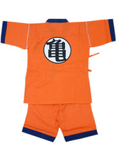 Dragon Ball Practice Suit Cosplay Costume