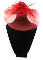 Elegant Wedding Veil Red Feather mariée