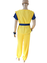 Dragon Ball Cotton Costume