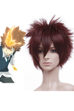 Brown 35cm Katekyo Hitman Reborn! Sawada Tsunayoshi Nylon Cosplay Wig