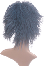 Gray 35cm FINAL FANTASY Versus XIII -Noctis Lucius Caelum Nylon Cosplay Wig