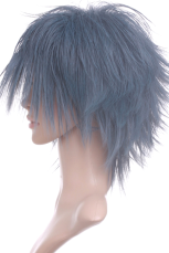 Gray 35cm FINAL FANTASY Versus XIII -Noctis Lucius Caelum Nylon Cosplay Wig