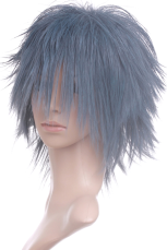 Gray 35cm FINAL FANTASY Versus XIII -Noctis Lucius Caelum Nylon Cosplay Wig
