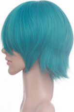 Green 30cm Katekyō Hitman Reborn!-Fran Nylon Cosplay Wig
