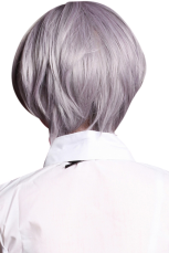 Light Purple 30cm Axis powers Hetalia Norway Nylon Cosplay Wig