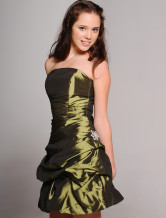 Strapless Pick-Up Skirt Beaded Taffeta Cocktail Homecoming Dress