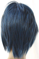 Katekyo Hitman Reborn! Mukuro Rokudo 40cm Cosplay Wig