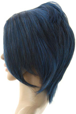 Katekyo Hitman Reborn! Mukuro Rokudo 40cm Cosplay Wig