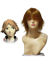 Persona 25cm Cosplay Wig
