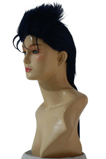 Fate Stay Night cosplay wig-Lancer