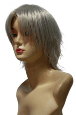 Reborn Gokudera Hayato Cosplay Wig
