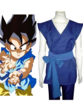 Dragon Ball Son Gohan Cosplay Costume