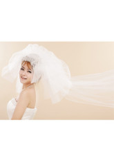 Wonderful superbe mariage Beige Tulle Quatre-Layer Bridal Veil
