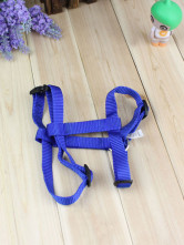 Collier Pour Chien Polyester Bleu 2.5cm