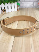Collier Pour Chien Nylon Brun Magnifique 3.8*72cm 