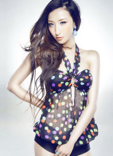Sexy Black 80% Spandex 20% Nylon Two-piece Swimsuit For Women