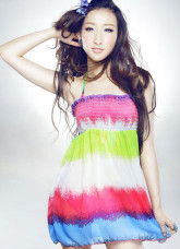 Colorful 80% Spandex 20% Nylon One-Piece Skirted Swimsuit