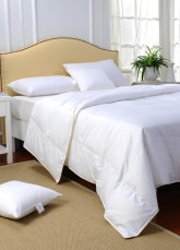 Couettes en Duvet 100% Eté Satin Respirable Lit à Deux Places