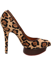 Leopard 5 1/2