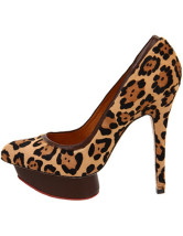 Leopard 5 1/2