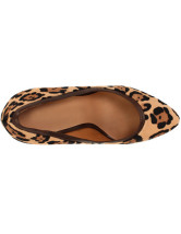 Leopard 5 1/2