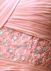 Rose touristes a plaidé Applique étage longueur robe du soir