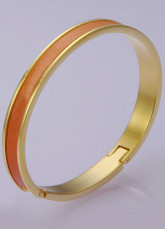 Femme populaires Acier Titane  's Bracelet