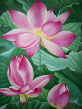 Peintures à L'huile Canevas Lotus 90*60 cm