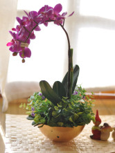 Attractive Thaïlande Phalaenopsis fleur Rosy Golden Flower Vase soie Set