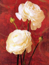 Peintures à L'huile Manuelle  40*50cm Canevas Rose Classique 