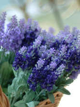 Fleur pourpre sombre lavande Etoffe de soie