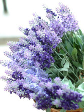 Light fleur pourpre lavande Etoffe de soie