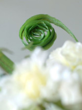 Magnifique Etoffe de soie Ivory Silk Flower Hortensias Sets