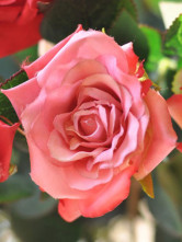Le Rouge Et Le Rose 62cm de haut en tissu de 6-8cm de diamètre en soie Soie Fleur Rose