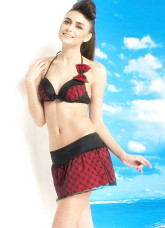 Sexy Red Polyester Nylon Gauze Halter Two-Piece Ladies Swimsuit