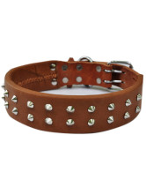 Collier Pour Chien Décoration Clou Cuir de Vache Brun Foncé de la mode 70cm*5cm*7-8mm 