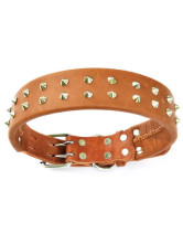 Collier Pour Chien Décoration Clou Cuir de Vache Brun Clair de la mode 70cm*5cm*7-8mm 