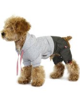 Manteau Pour Chien 100% Coton Laine Polaire Gris Léger Mignon Splendide