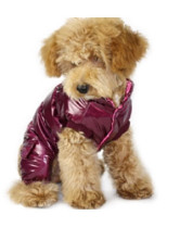 Manteau Pour Chien 100% Coton Laine Polaire Pourpre Migon Splendide 