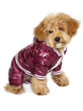 Manteau Pour Chien 100% Coton Laine Polaire Pourpre Roni Mignon Splendide