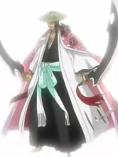Bleach 8th Division Captain Kyouraku Shunsui Cosplay Costume