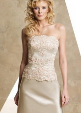 Wonderful Champagne Satin Embroidered Mother of The Bride Dress