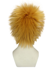 Golden 32cm Kingdom Hearts Birth by Sleep-Ventus Nylon Cosplay Wig
