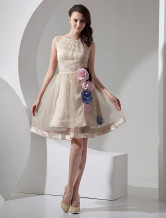Champagne A-line Short Organza Mini Wedding Dress