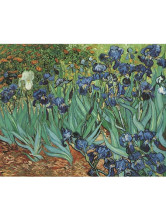 Van Gogh' toile fleur peinture à l'huile