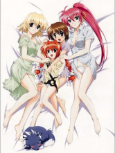 Lovely Magical Girl Lyrical Polyester Microfiber Anime Bed Sheet