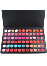 66 Lèvre de couleur composent la Palette cosmétique
